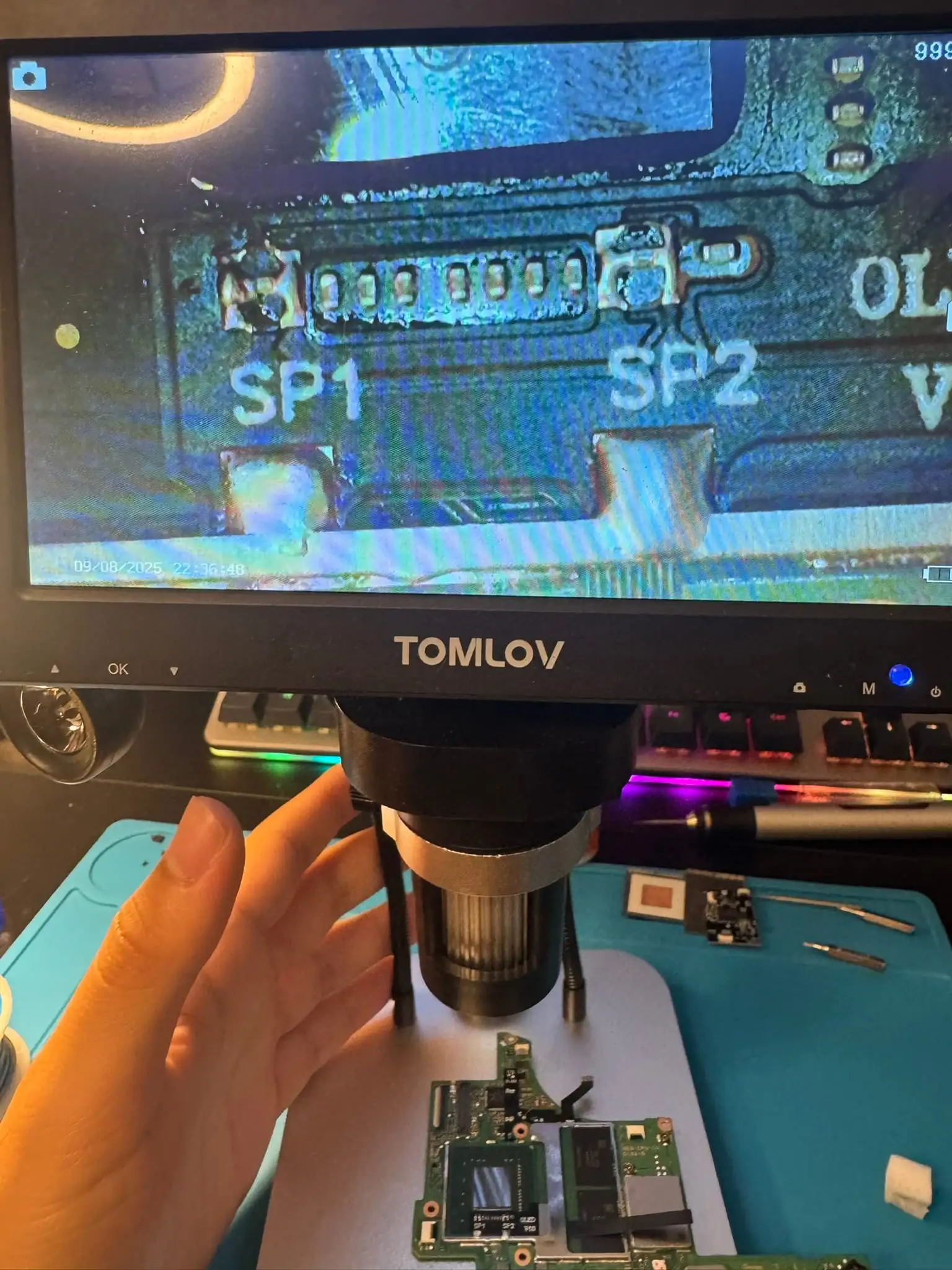 Switch OLED Kamikaze, photo 17 of 20